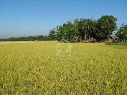 VIP Agricultural Land For Sale