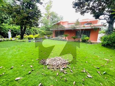 Luxury House On Extremely Prime Location Available For Rent In Islamabad