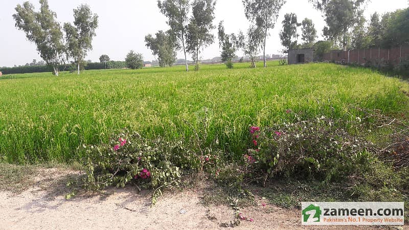 VIP Land For Farm House On Ferozepur Road