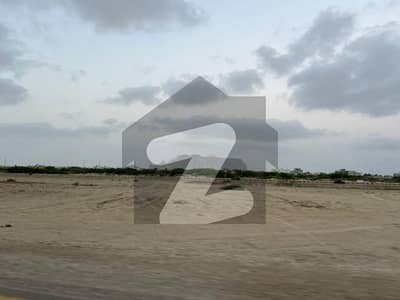 Change Your Address To Prime Location Pishukan For A Reasonable Price Of Rs 800000