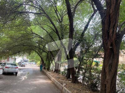 ڈی
