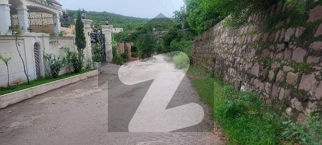 بنی گالہ اسلام آباد میں 8 مرلہ رہائشی پلاٹ 80.0 لاکھ میں برائے فروخت۔