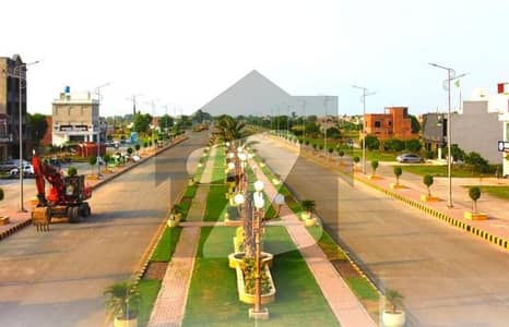 سفاری