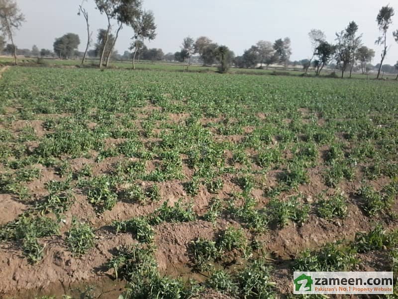 Commercial Land Is Available For Sale Commercial Land Is Available For Sale