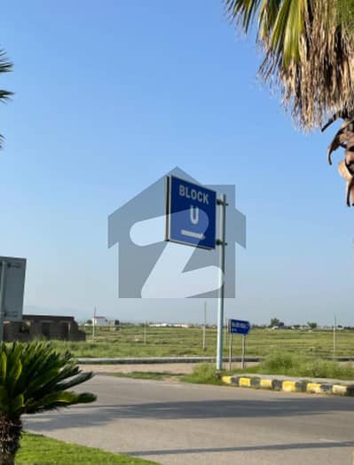 نیو