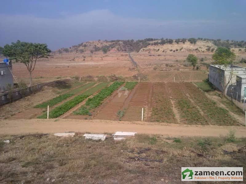 Farm House Land For Sale Chakri Road, Rawalpindi ID2543175