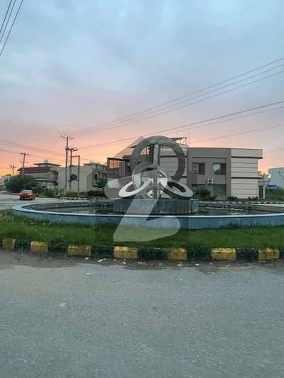 نیو