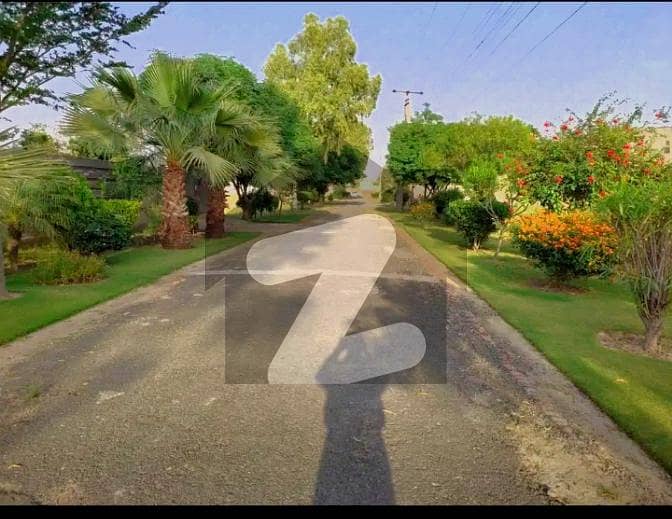 ONE KANAL PLOT ON 50 FEET ROAD ONE KANAL PLOT ON 50 FEET ROAD