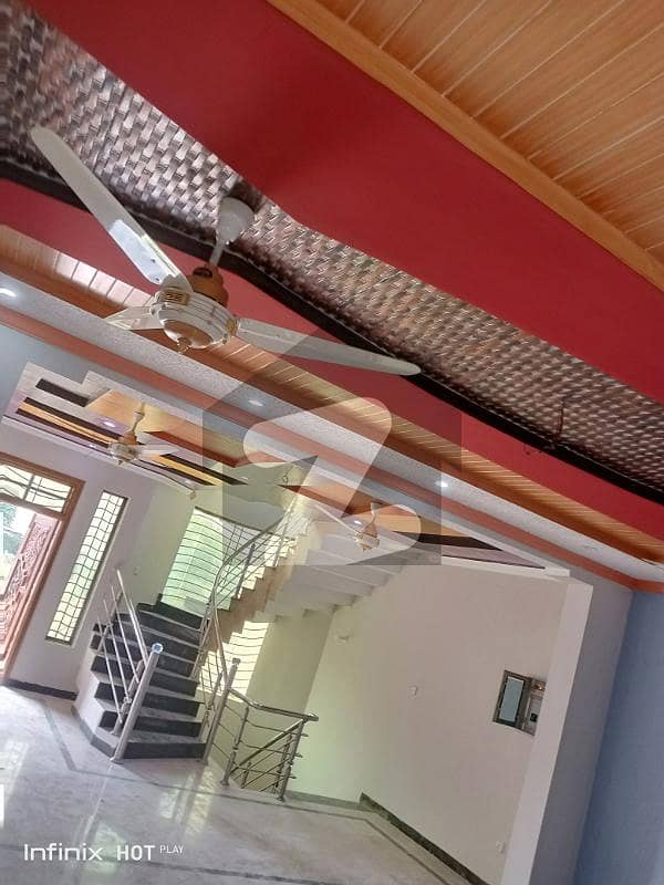 Neat And Clean Renovated House For Rent Neat And Clean Renovated House For Rent