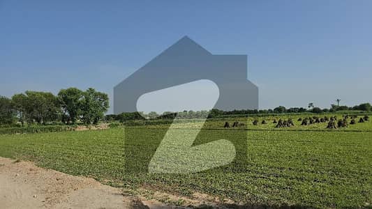 رحیم یار خان بائی پاس رحیم یار خان میں 800 کنال زرعی زمین 55.0 کروڑ میں برائے فروخت۔