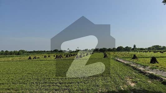100 Acr Agriculture Land For Sale At Tharanda Muhammad Pannah