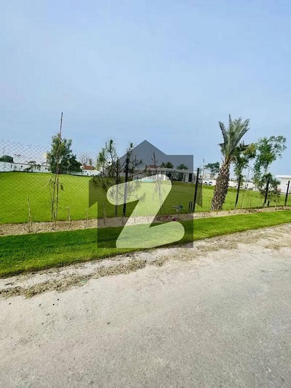 1 Kanal Alcazar Farmhouse Land On Bedian Road