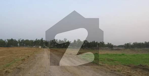 ایف
