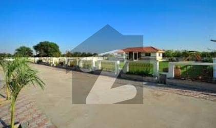 1 kanal Excellent Plot Y-876 for sale