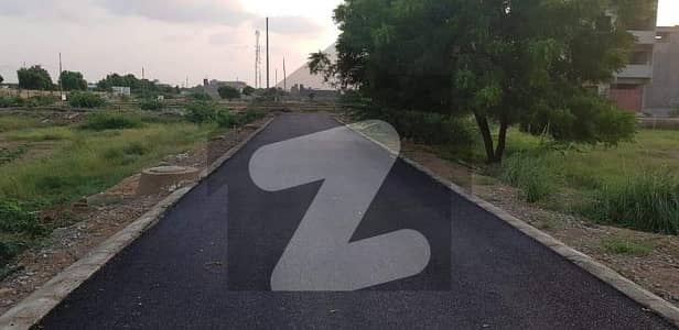 دہلی
