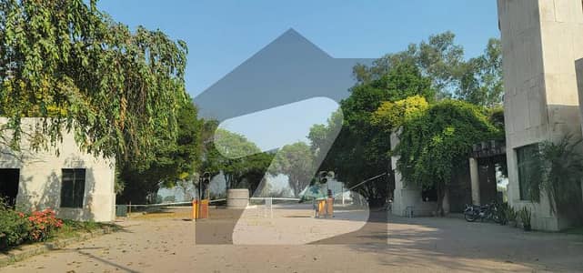 Hot Location 8 Kanal Farm House Land For Your Dream Farm House