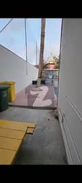 36 