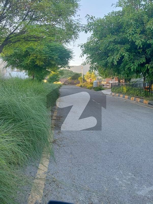 D-12 Residencial Plot at Good Location in Reasonable price