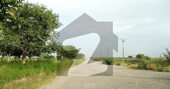 Main Double Road back