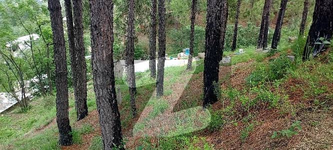 6 Marla View Location Plot For Sale