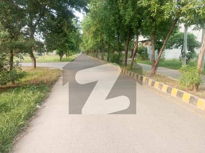 سادات
