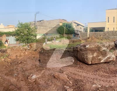 بنی