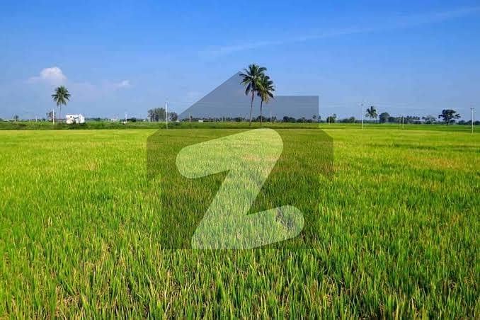 Best Agricultural Land for invester Best Agricultural Land for invester