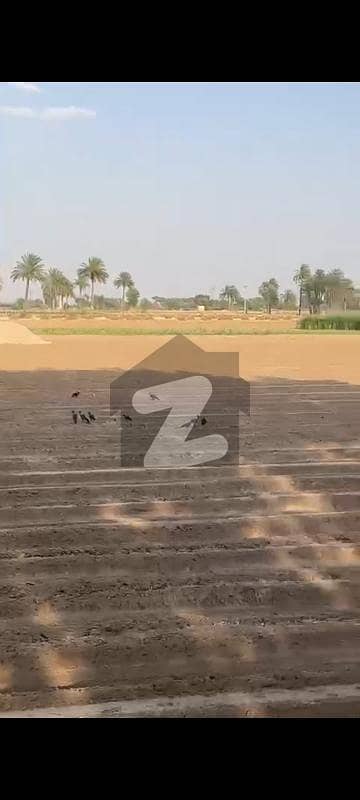 100 Kanal (12.5 Acre) Agriculture Land Available For Sale Inteqaal Available At Very Good Location Near Ada Subeel On Hasil Pur Road, Hasil Pur 100 Kanal (12.5 Acre) Agriculture Land Available For Sale Inteqaal Available At Very Good Location Near Ada Subeel On Hasil Pur Road, Hasil Pur