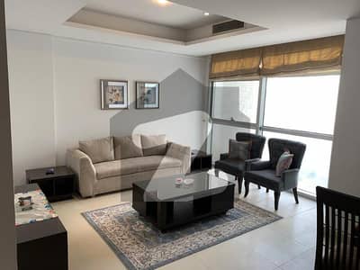 One Bedroom Modern Furnished Apartment Lake Face In One Constitution Avenue