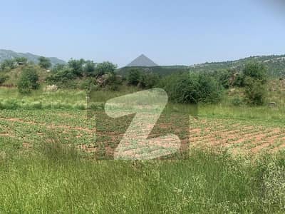 فتح