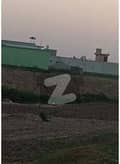 26 
