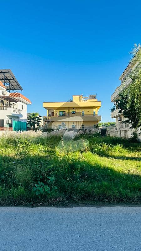 1 KANAL SUN FACE HEIGHTED PLOT 1 KANAL SUN FACE HEIGHTED PLOT