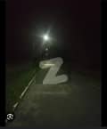 20 