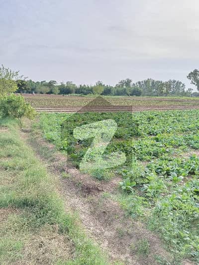 Premium 25 Kanal Farm House Is Available For sale In Chak Shahzad