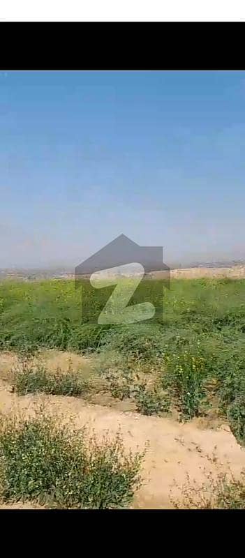 250 Kanal Agriculture Land For Sale At Ideal Location