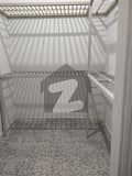 31 