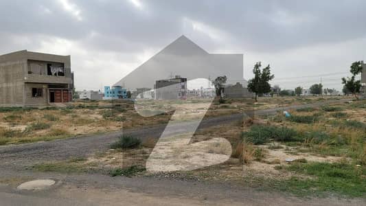 سعدی