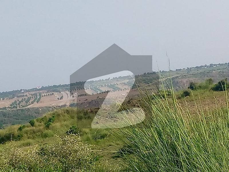 Plot File For Sale In DHA Valley