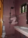 26 
