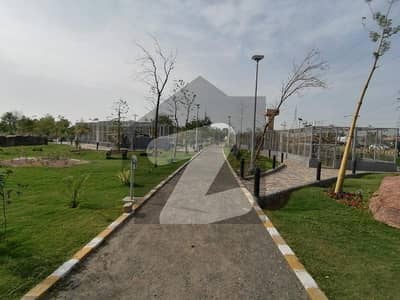 Prime Location Residential Plot Of 5 Marla For Sale In DHA Sector C