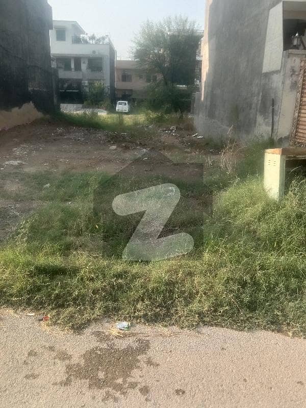 Residential Plot For sale Is Readily Available In Prime Location Of D-12/1 Residential Plot For sale Is Readily Available In Prime Location Of D-12/1