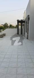 26 