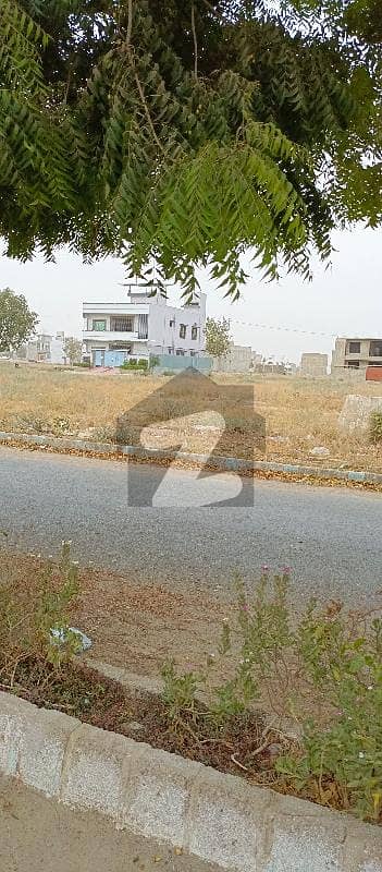 سعدی