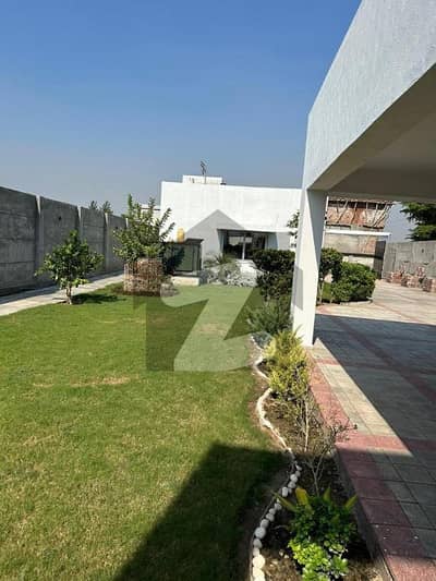برکی