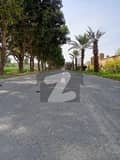 20 