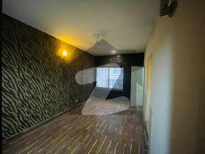 Fully Renovated Apartment For Rent