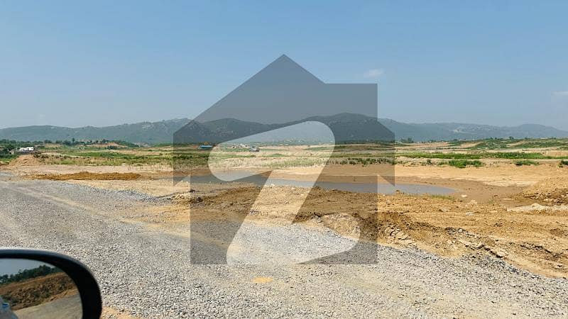 INVESTOR ALERT PLOT