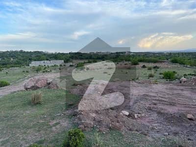 Buying A Residential Plot In Shah Allah Ditta