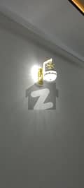 20 