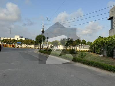 ڈی